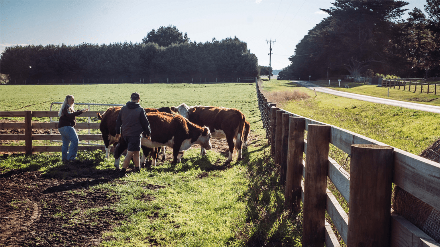 Consultation on work-based learning 